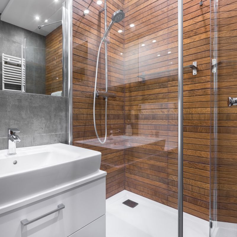 Contemporary Shower with Frameless Glass